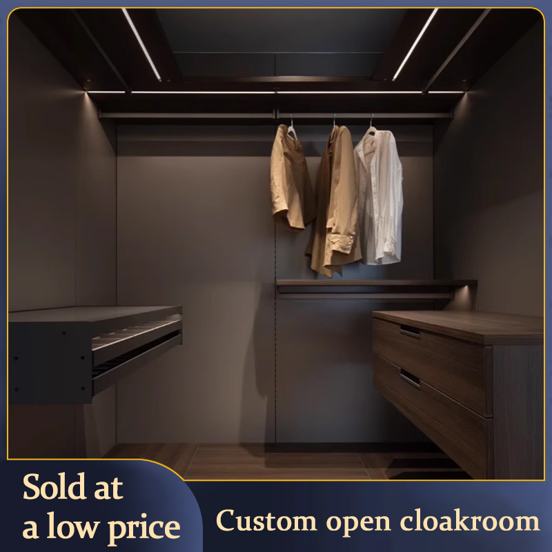 Metal Wardrobe Accessories Fra – обзор и цена Furniture Hardware In China